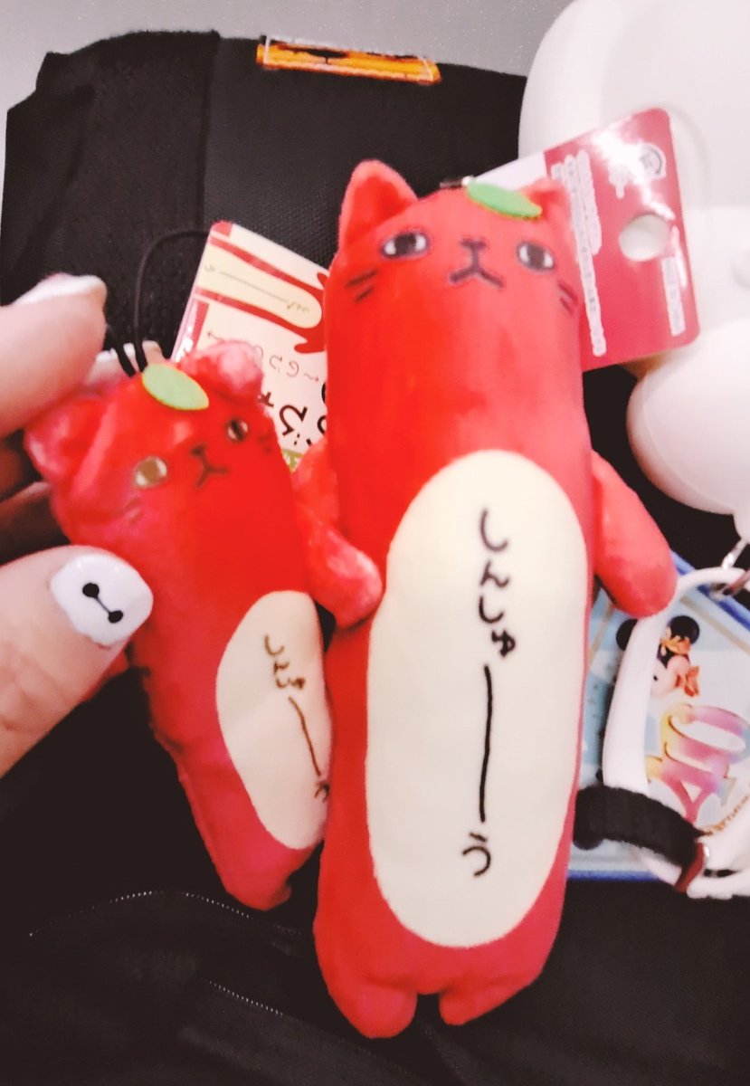 ⭐︎ここちぁ出品⭐︎のびねこ43 のびシリーズ | 野澤作蔵商店 nozawasakuzo_shoten