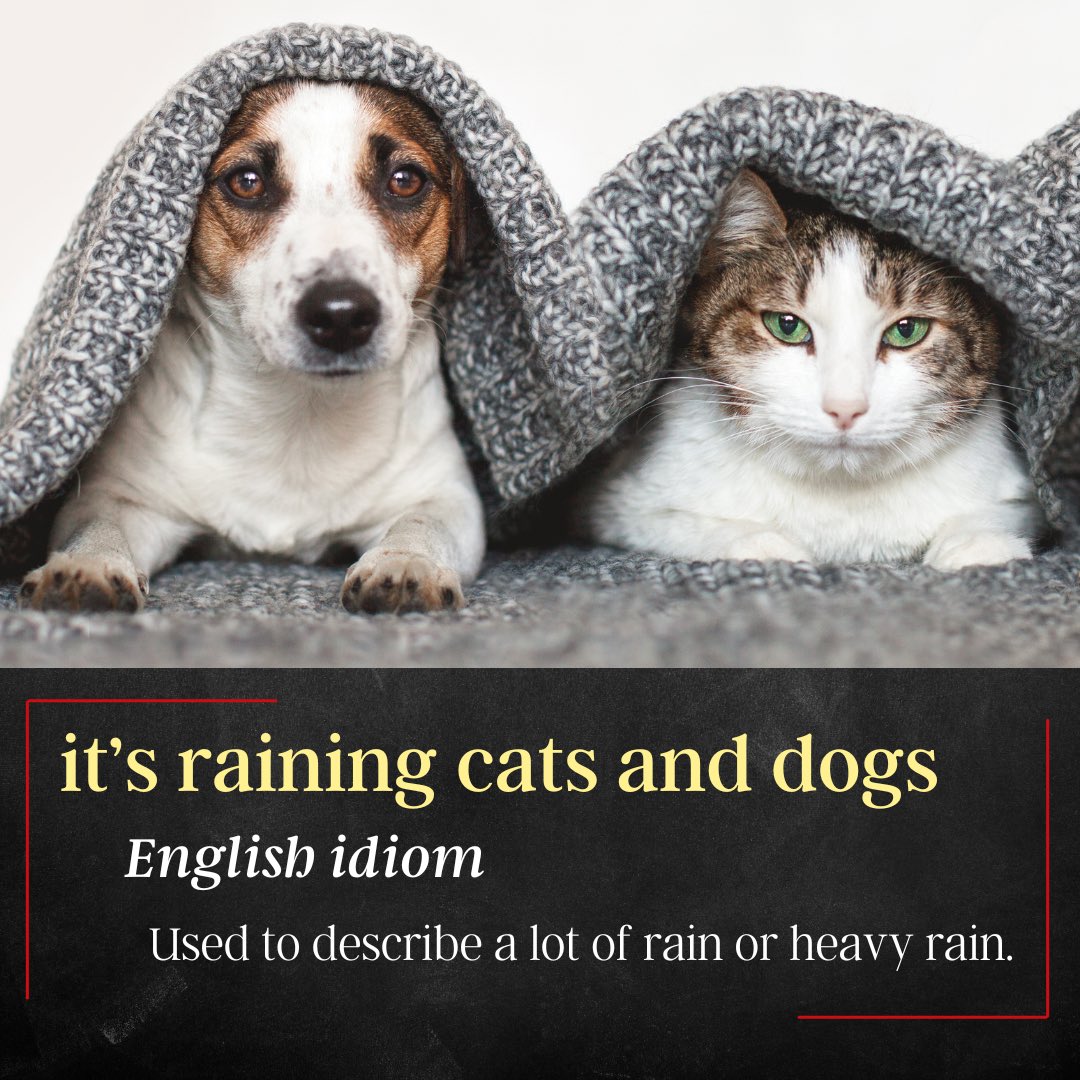 LearnEnglishPod's tweet image. 🌧️ This week, the Learn English Podcast is all about rain vocabulary. Learn what words native speakers use when it&apos;s raining and master terms like &quot;drizzle,&quot; &quot;deluge,&quot; and even the idiom &quot;it&apos;s raining cats &amp;amp; dogs&quot;. #LearnEnglish #englishvocabulary 

youtu.be/PbuzHAZOAT4