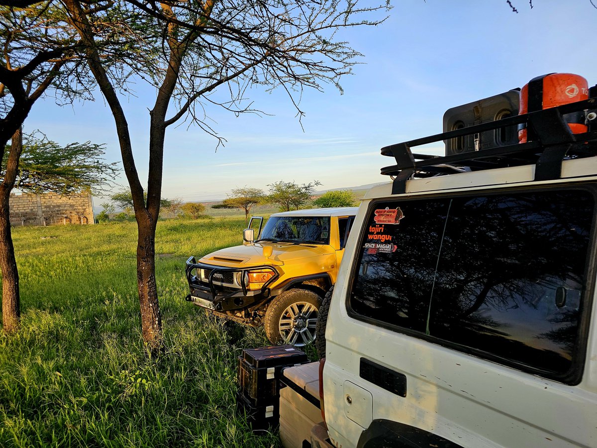 96Lost_'s tweet photo. I found a Bumblebee 😁

@MaureenInKwenia
📍@KweniaEcoLodge https://t.co/p5pVIHOWAw