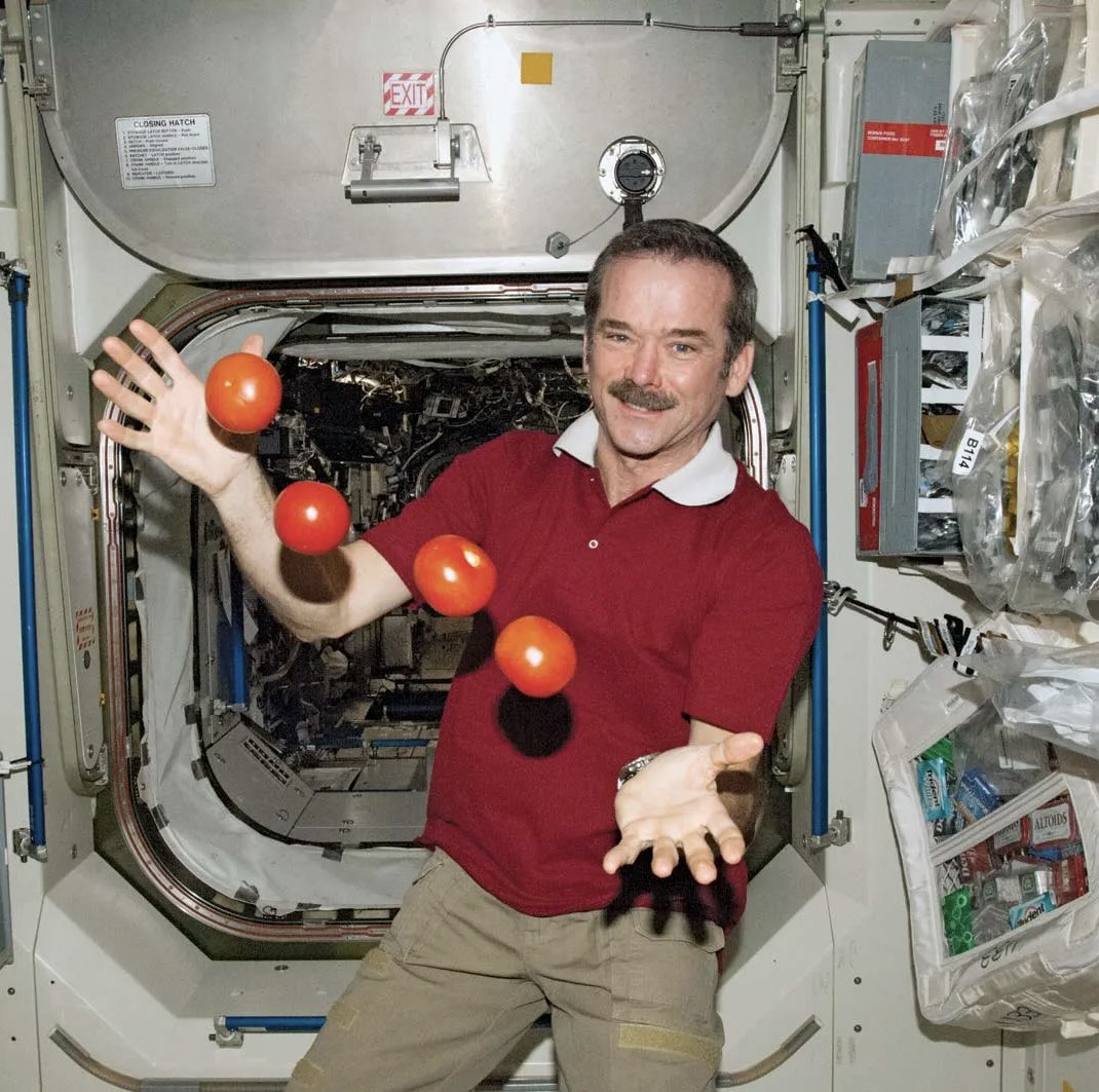 Jessica Dark tweet media