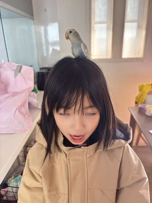 ゆとりのTwitter画像20