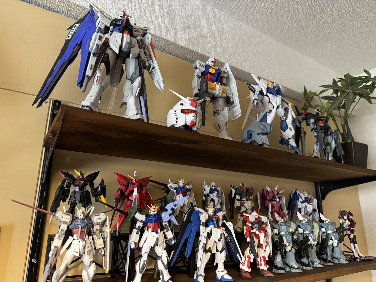 CE神棚にお参りして観に行ってきます🏃‍♂️💨
#ガンダムSEEDFREEDAM