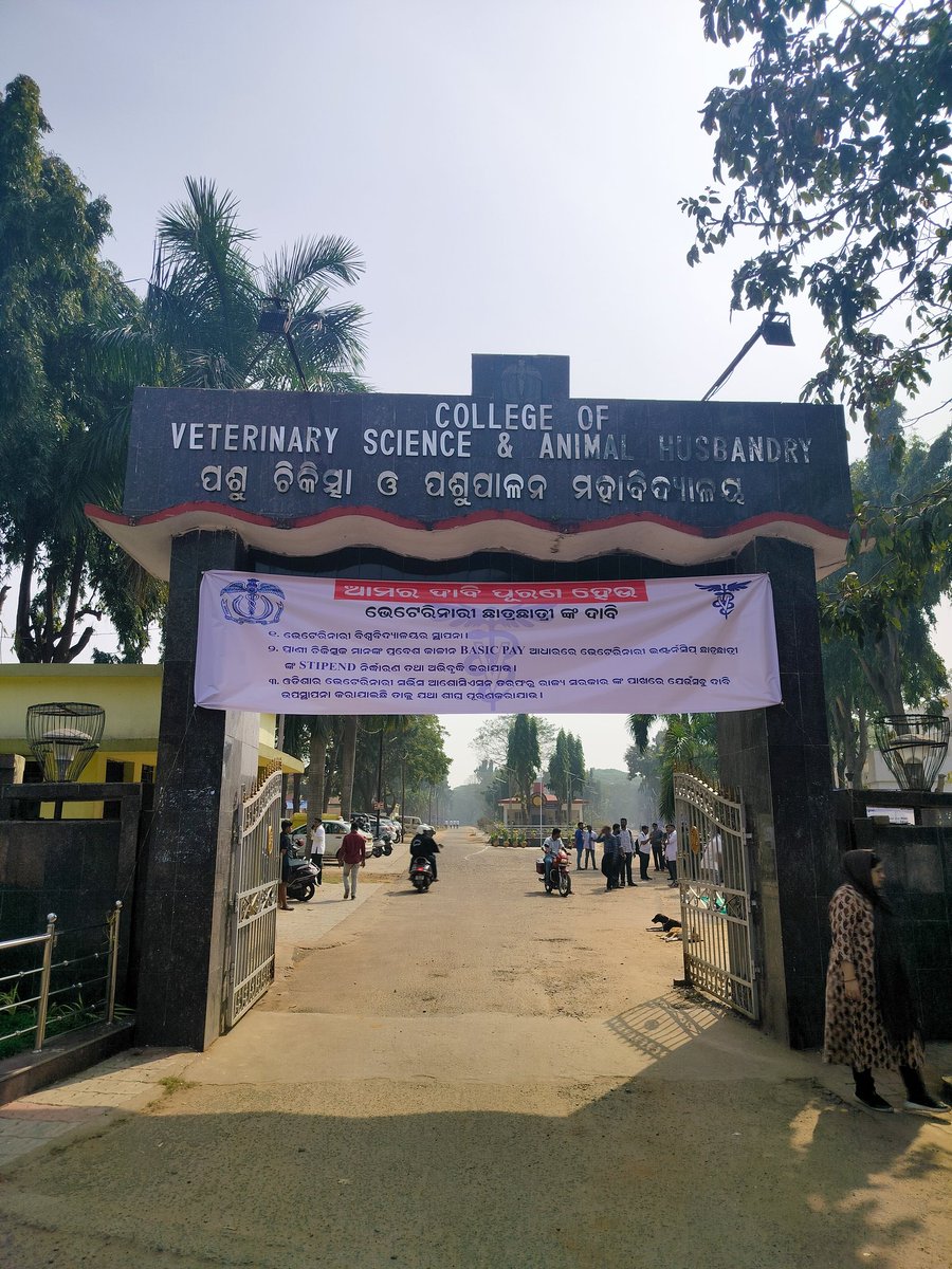 ovc_unofficial's tweet photo. In absence of a suitable resolution in our favour from the Govt. Of Odisha we are bound to announce a peaceful strike for an indefinite period of time without hampering the official &amp; administrative activites of our college and university.
#wedemandveterinaryuniversity https://t.co/pldnxQ0oOm