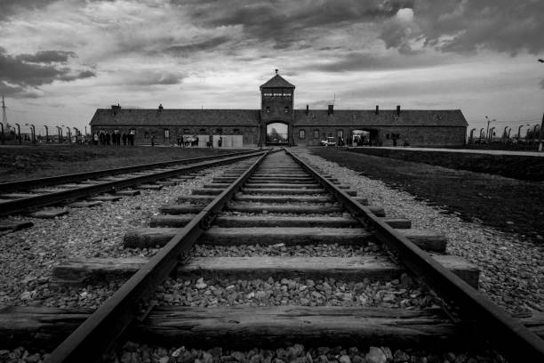 Anonymous00708's tweet photo. Später wurde das größere Arbeitslager #Auschwitz-Birkenau,sowie weitere Arbeitslager z.b. #Monowitz errichtet
In Birkenau befanden sich die Gaskammern, in denen alle nicht arbeitsfähigen Juden/Menschen sofort nach Ankunft ermordet wurden
Die anderen mussten schwere Arbeiten 
8/11 https://t.co/DvCjXS3uvC
