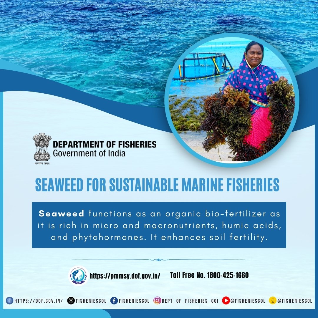 Empowering sustainable marine fisheries with seaweed cultivation! Rich in nutrients, promoting soil health, and enhancing plant resilience.
 #SeaweedSustainability #MarineEcology