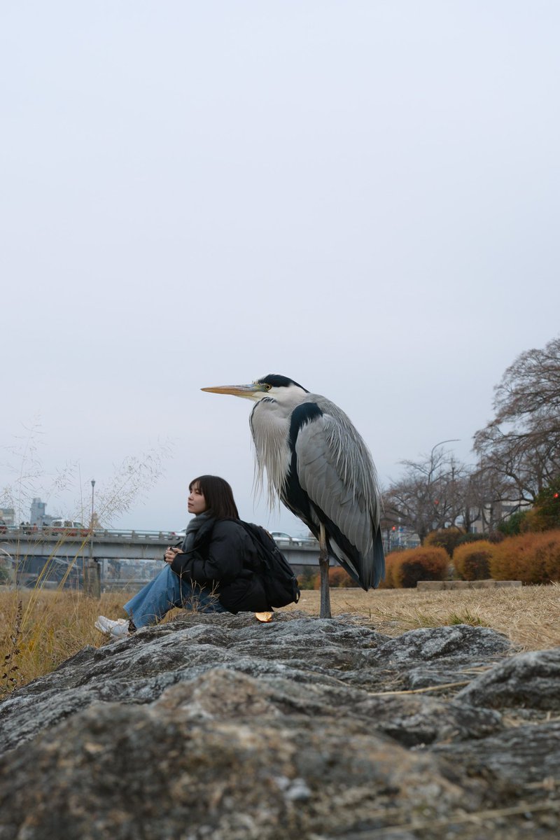 『君たちはどう生きるか』