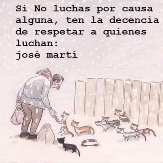 Guadalupe Ramirez tweet media