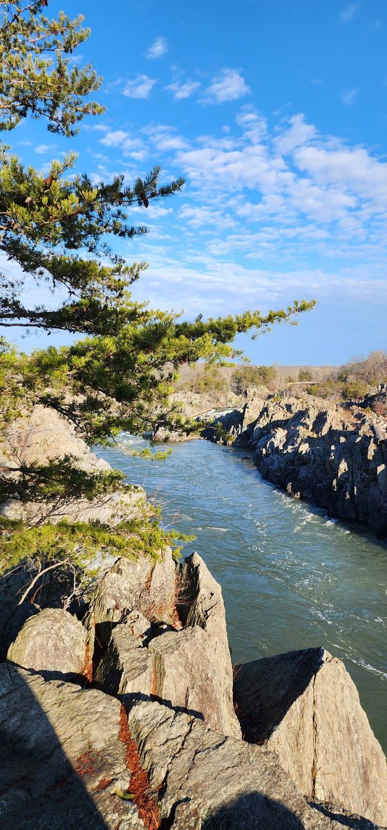 SurferGrl15's tweet photo. Kayaking 
Shot on #S22Ultra 
@Snapdragon @VisitVirginia
#CelebrateWithSnapdragon
#UnitedBySnapdragon  #ShotOnSnapdragon @ManUtd @Snapdragon_IN @gregcroc @Snapdragon_UK #greatfallspark
@SamsungMobileUS #rapids 
#TeamGalaxy #rivergorge https://t.co/Wr3V8crsTb