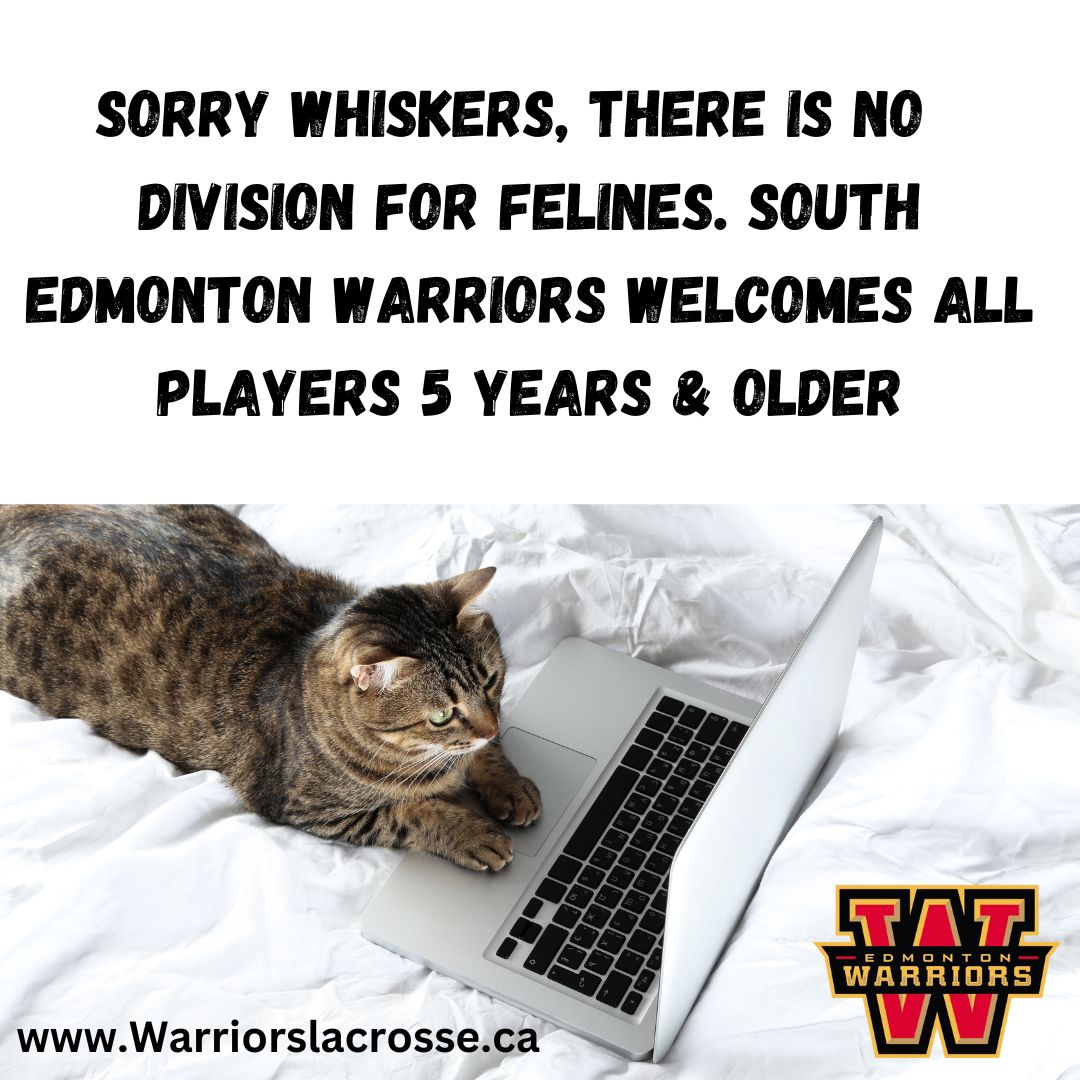 Learn more about our divisions by visiting our website today.