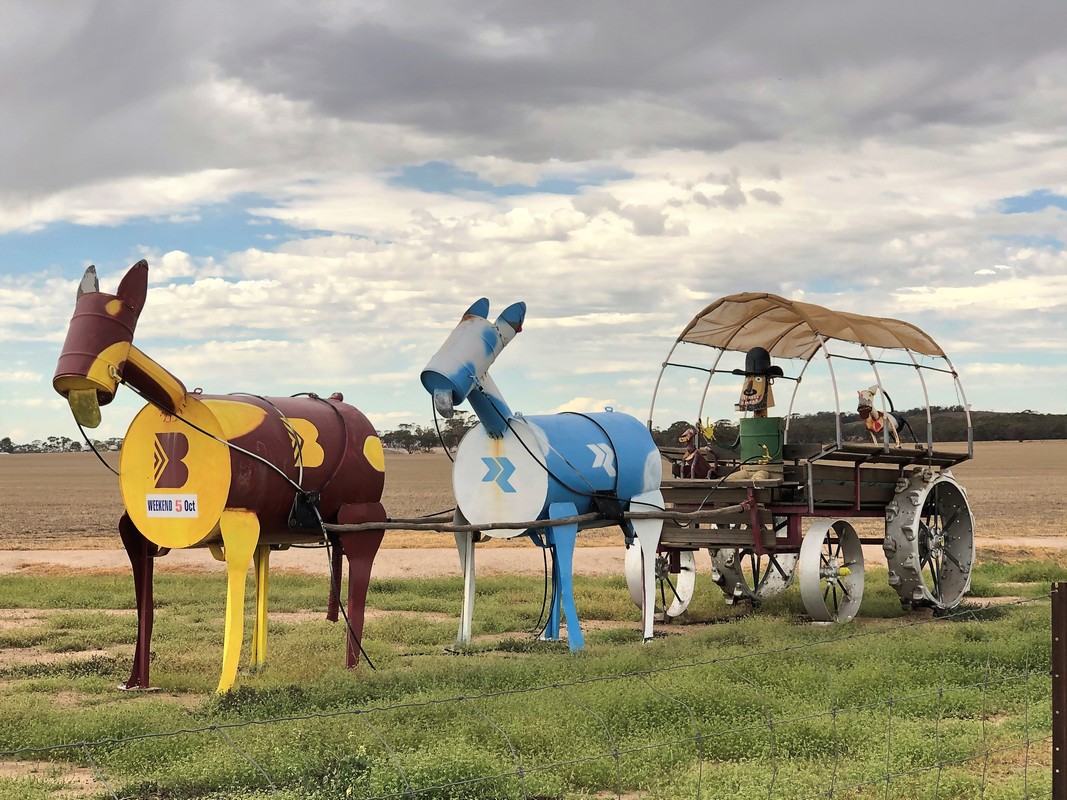 a_holeinmyshoe's tweet photo. Have you seen the Tin Horse Highway? Built by local farmers to promote the annual Kulin Bush Races the 15km stretch is now a feature in the WA Wheatbelt in Australia's Golden Outback. #Kulin #TinHorseHighway #GoldenOutback https://t.co/QT9u4kn9Og
