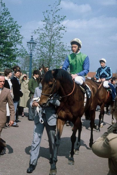 Lester at Newmarket in the 1980s ... in some famous colours.