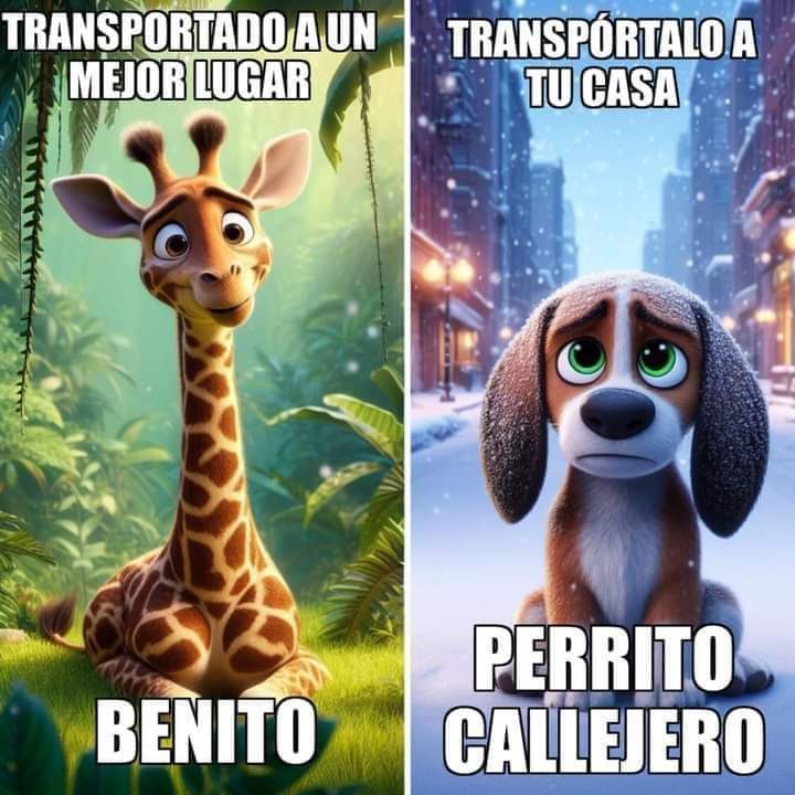 Realidad🦒 =OPORTUNIDAD 🐶🙏

#Adopta 
#SoyTuBrother #sᴏᴍᴏsᴀᴄᴀᴘᴜʟᴄᴏ 
#AcaLover