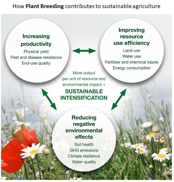 Agriculture technology is not only all about robots, soil sensors and data. For sustainable agriculture, breeding for more productive and resource-efficient varieties are equally important.

#genetics #plantbreeding #Robotics #sensor