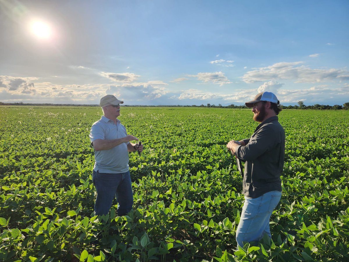 catriel.pedernera tweet media