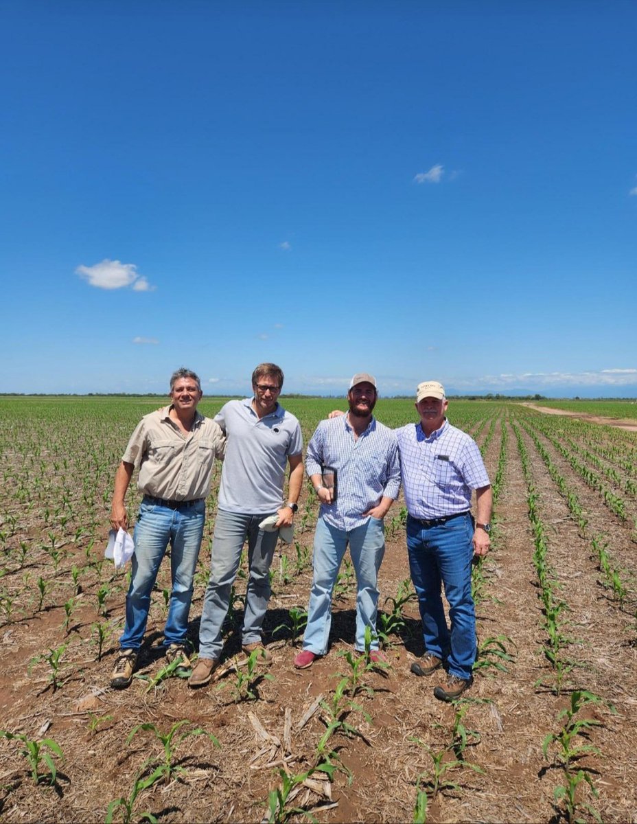 catriel.pedernera tweet media