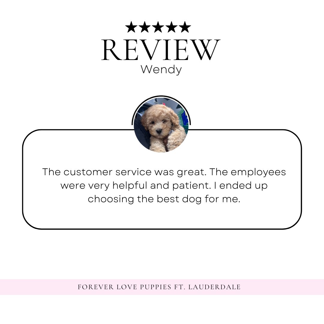 "Thrilled customers light up our world with smiles and gratitude! 🌟 Thank you for choosing us and making us part of your journey. Your satisfaction is our ultimate joy! 😊 #HappyCustomers #Grateful #CustomerSatisfaction"

HA:)