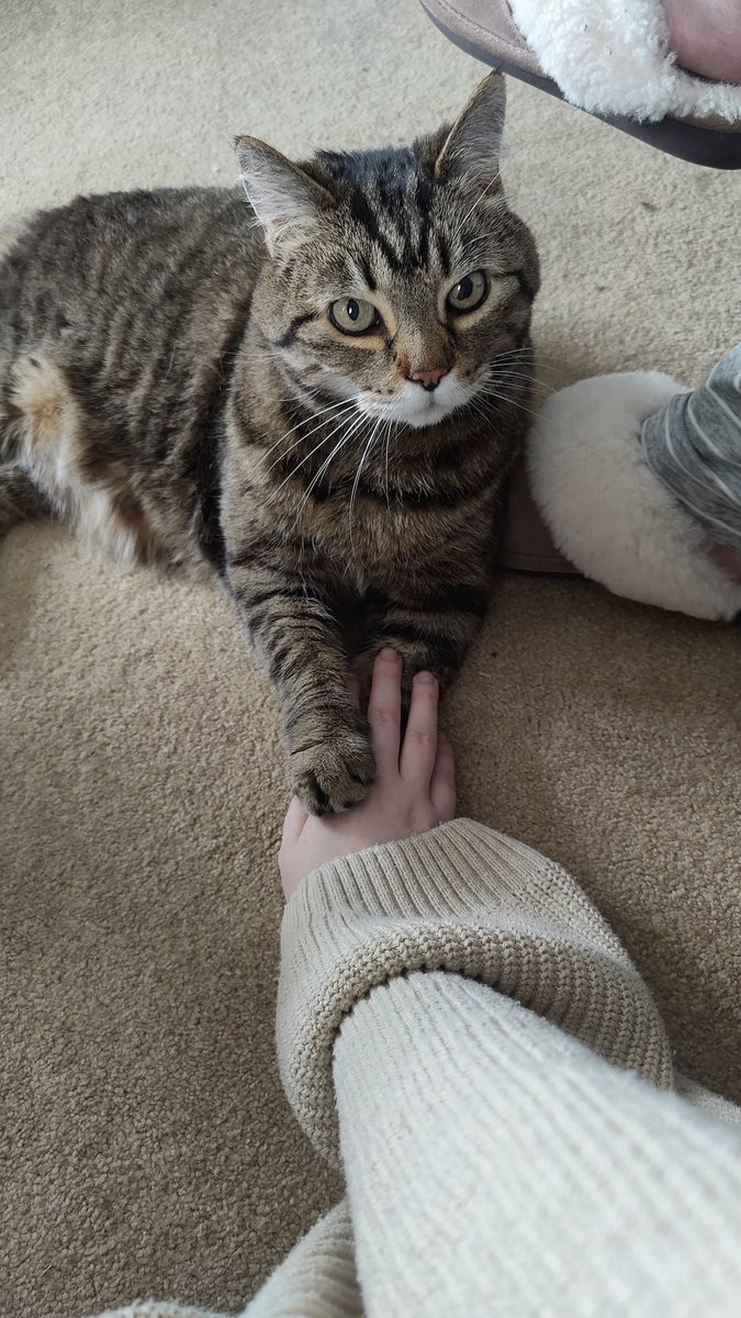 Lanti @ Picto in Training tweet media