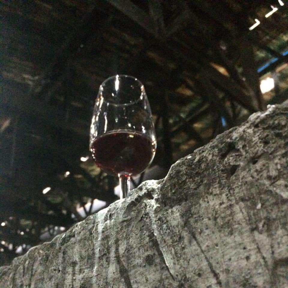 MaxMoralesChile's tweet photo. @neda_sefati About to connect my research of #WineHistory in America with the #OriginOfWine - Persian wine! Spain brought grapes 🍇 from #CanaryIsland to Mexico 🇲🇽 and then in the rest of the continent. In Chile 🇨🇱 1551, was the first vineyard officially in actual Ñuble Region #ItataValley https://t.co/SkLvOxPDyv