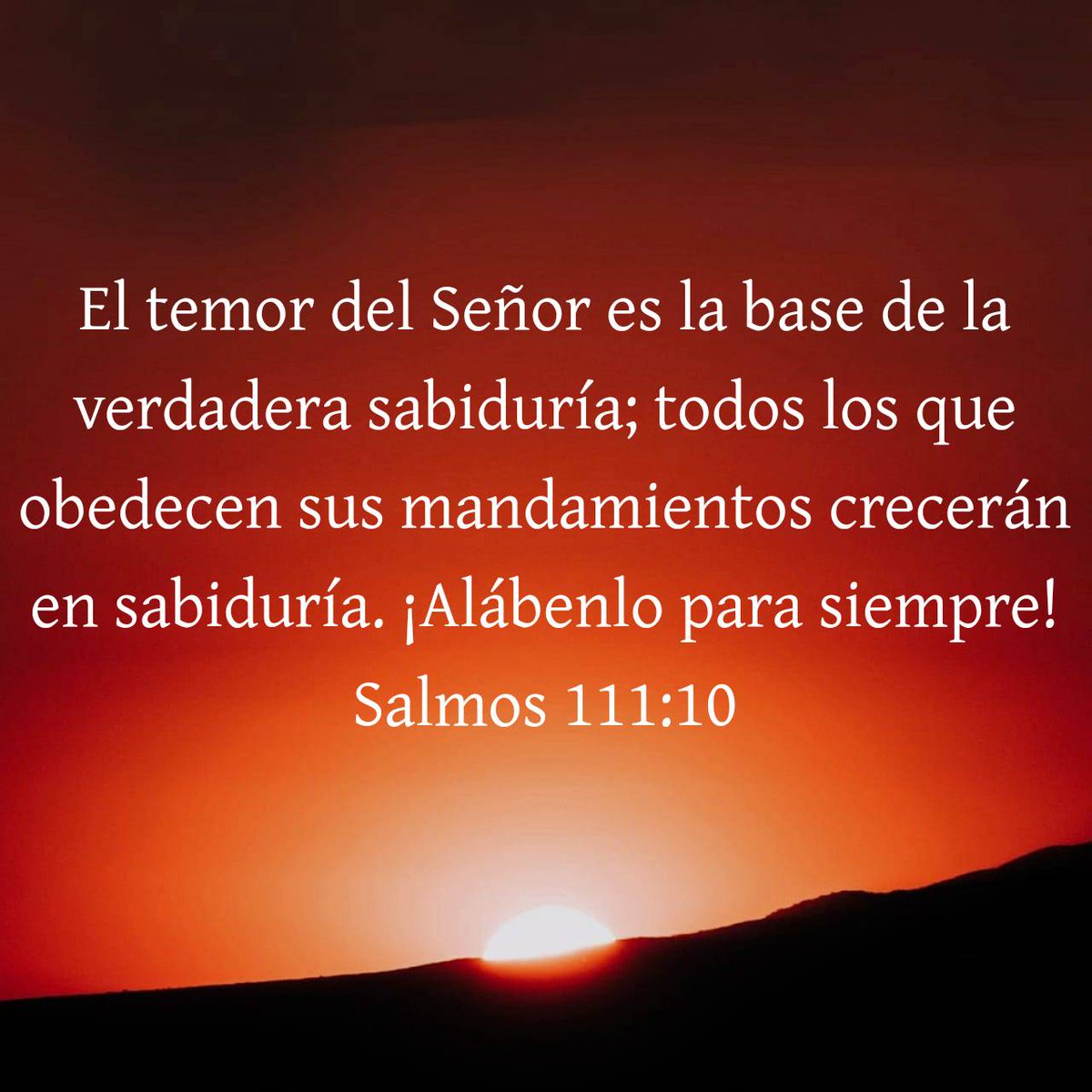 FinanzCL's tweet photo. Orando por Chile 

Pedimos, Señor, que bendigas a nuestros seres amados y a Chile a esta hora de la noche. 

Pedimos esto en nombre de Cristo Jesús, nuestro Señor y Salvador. 

Amén

#chile #oración #dios #cristo #jesús #yahshua #bendición https://t.co/GlOQhuY5Z0