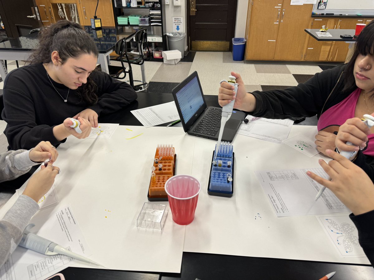 MrArsenie's tweet image. My @CarlSchurzHS #ibbio students starting our biotech unit by creating pointillism masterpieces by practicing micropipetting via @MiniOneSystem next up is PCR, gel electrophoresis and ELISA!
