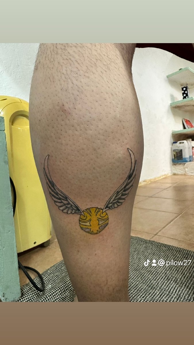 Snitch dorada!! Harry potter 💯✨🪄🧹