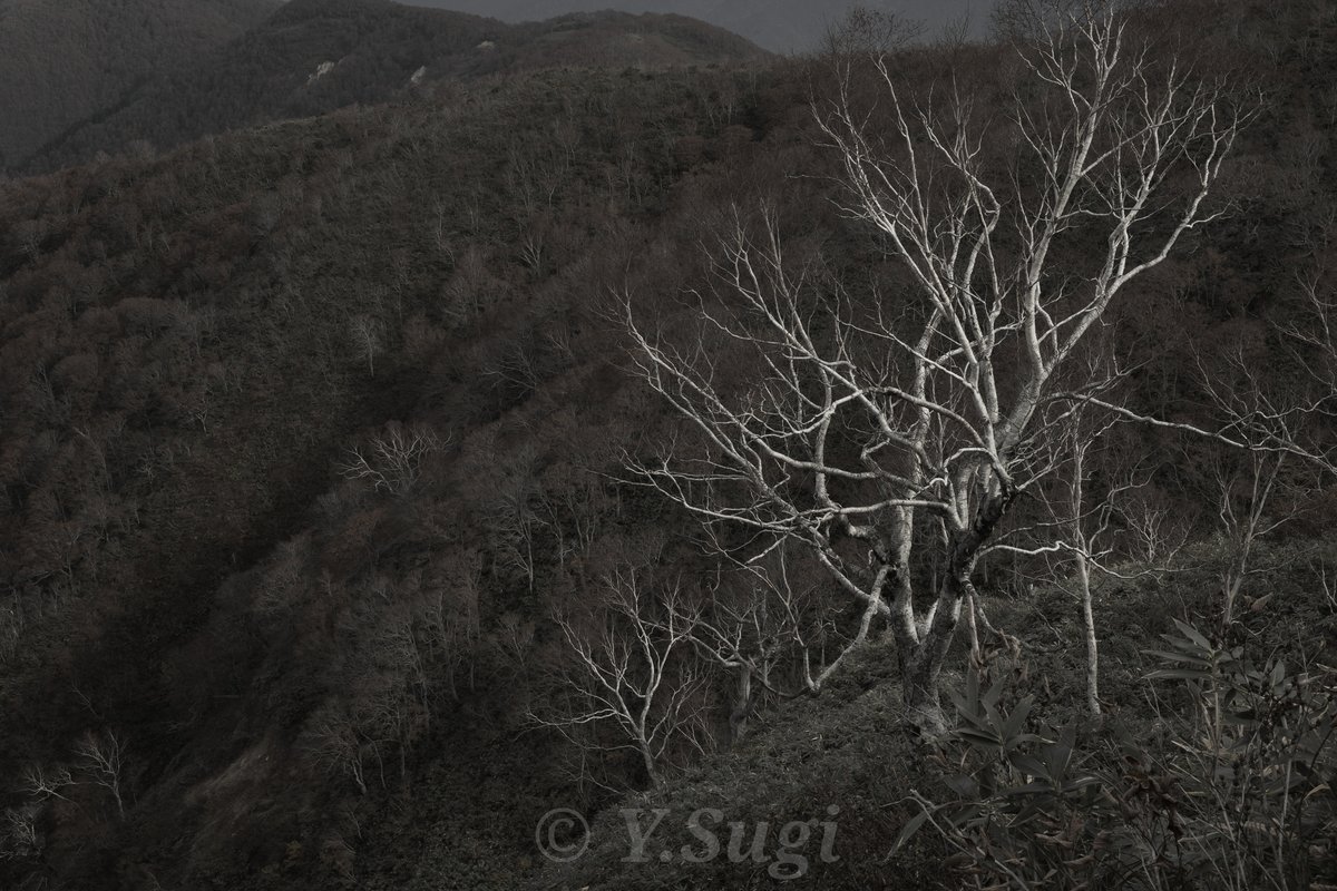 izu_naturedrive's tweet photo. 金剛堂山　2023.11.04

#photography 
#mountains 
#nature 
#NaturePhotography 
#Landscapes 
#landscapephotography https://t.co/fOENhHqPMj