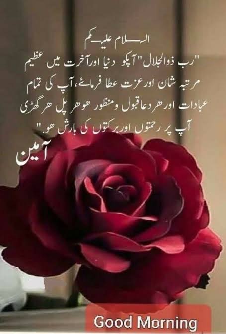اسلام وعلیکم !
اللہ پاک سے اچھا گمان رکھنا چاہیے۔ 
اللہ پاک ہم سب کی امیدیں پوری کرے۔ 
خوش رہیں 
خوشیاں بانٹیں 
صبح بخیر