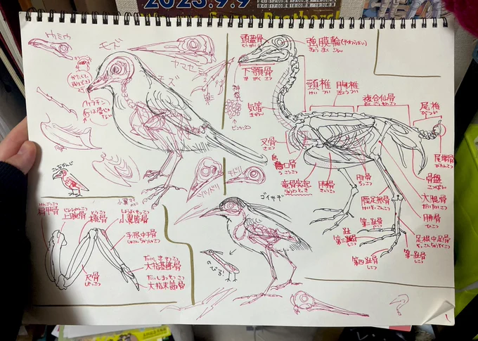 2年前?くらいのノートが出てきた
川上先生の本見てずっと描いてたやつ
2枚目は多分何ヶ月か前のらくがき 