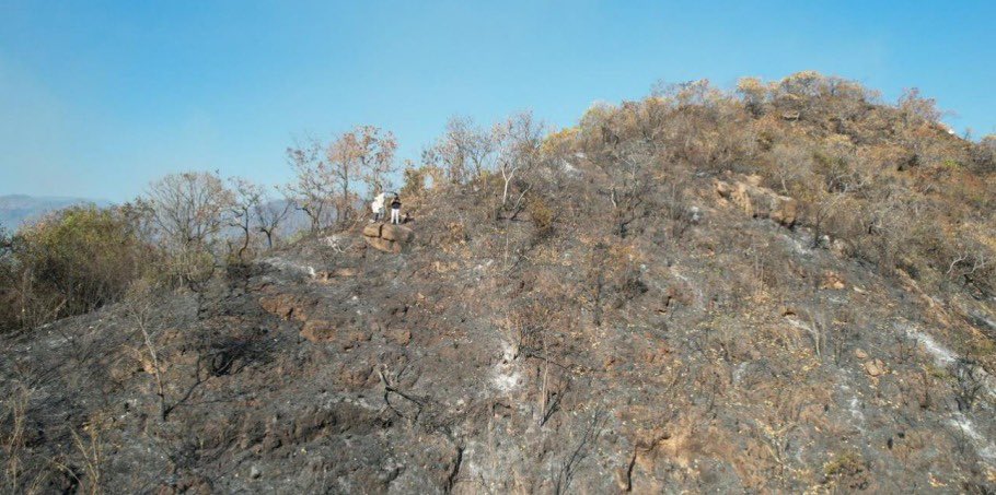 El Bosque Seco Tropical del Cesar está en llamas. El ecosistema más amenazado y vulnerable a los incendios. Hay solo un helicóptero en el Cesar. Se necesita solidaridad y apoyo del sector privado contundente. <a href="/PlanetaCaracol/">Planeta Caracol</a> <a href="/CNAB_ANDI/">CNAB_ANDI</a> <a href="/ANDI_Colombia/">ANDI</a> <a href="/susanamuhamad/">Susana Muhamad</a>