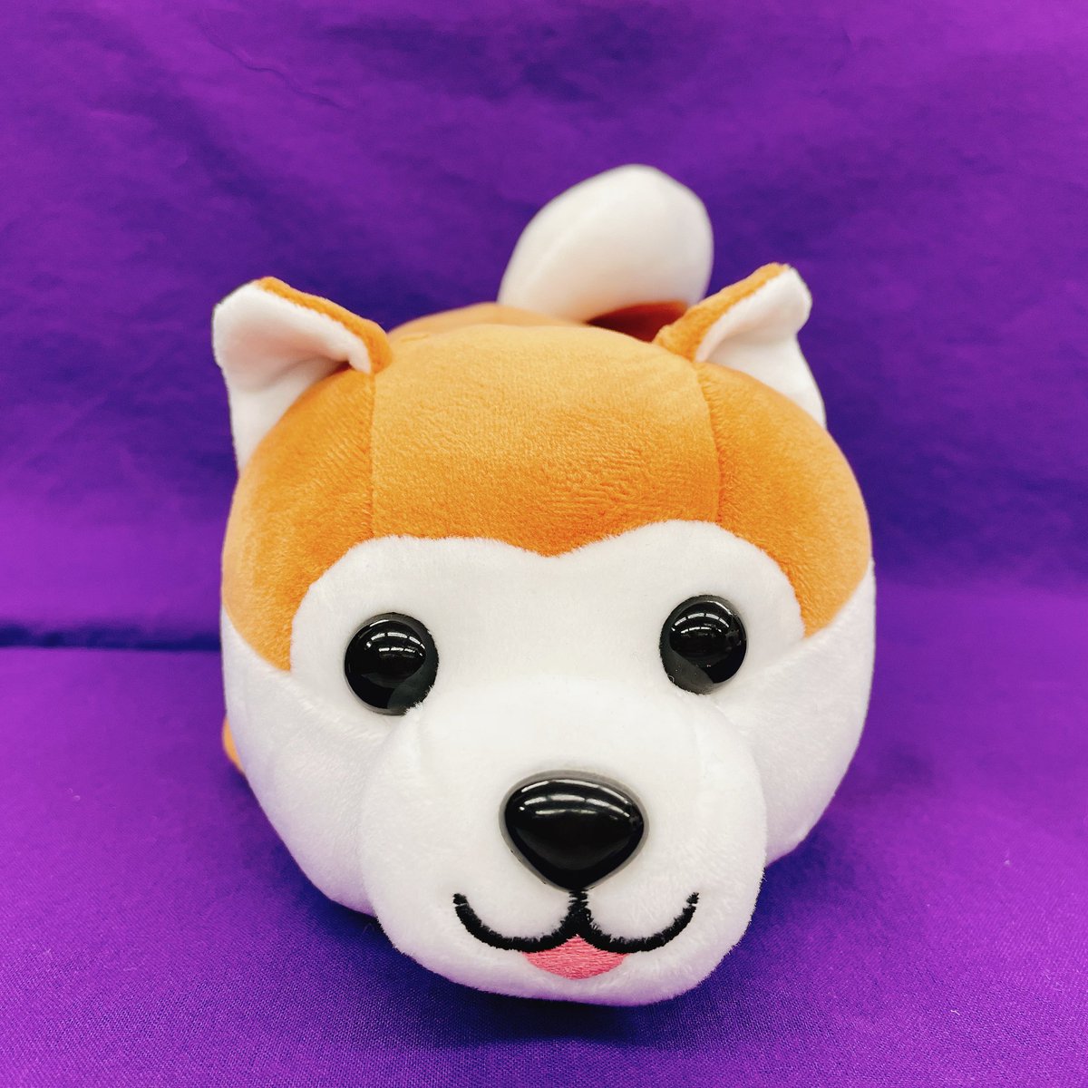 こんにちは✨ 元気がでない！そんなあなたに癒しを💕 【可愛い