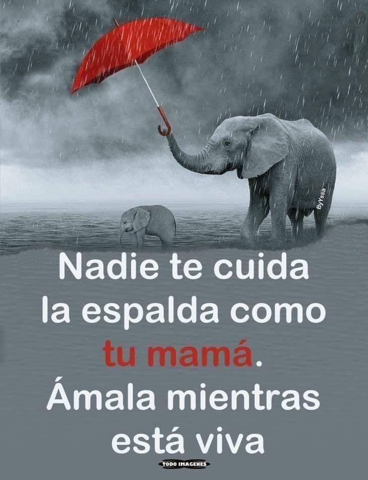 Paulo Coelho Español (@paulocoelhodice) on Twitter photo 