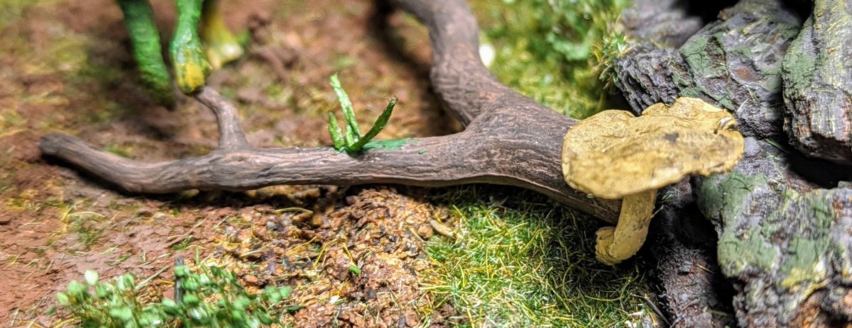 puratyanneru's tweet image. 細かいこと！！
#ジオラマ
#プラモデル