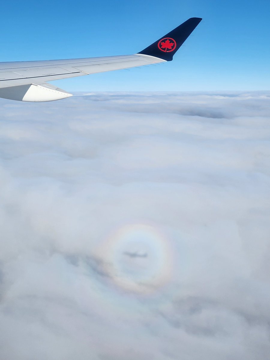 ninjawinterbach's tweet image. Air Canada #aircanada #Yeg #yzz @AirCanada