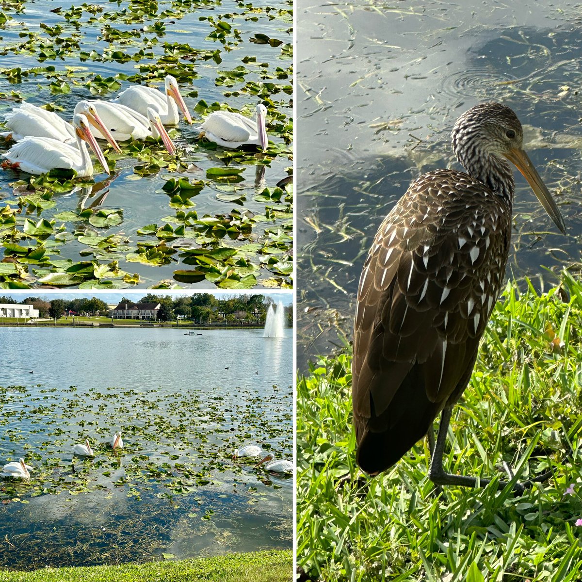 Michael Akin tweet media