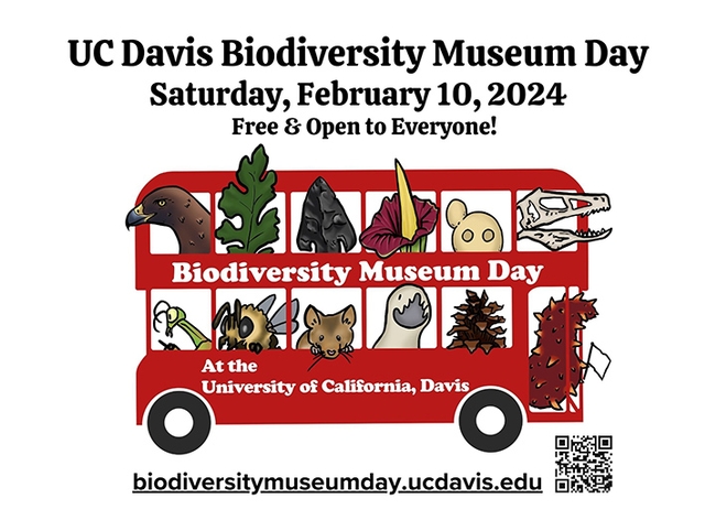 UCDavisEntomolo's tweet image. All aboard for the 13th annual #ucdavis Biodiversity Museum Day on Saturday,  Feb. 10. Ten museums or collections will be open on this "Super Science Day!" Free and family friendly.  Talk to the scientists! #BugSquad tinyurl.com/27dz6vky