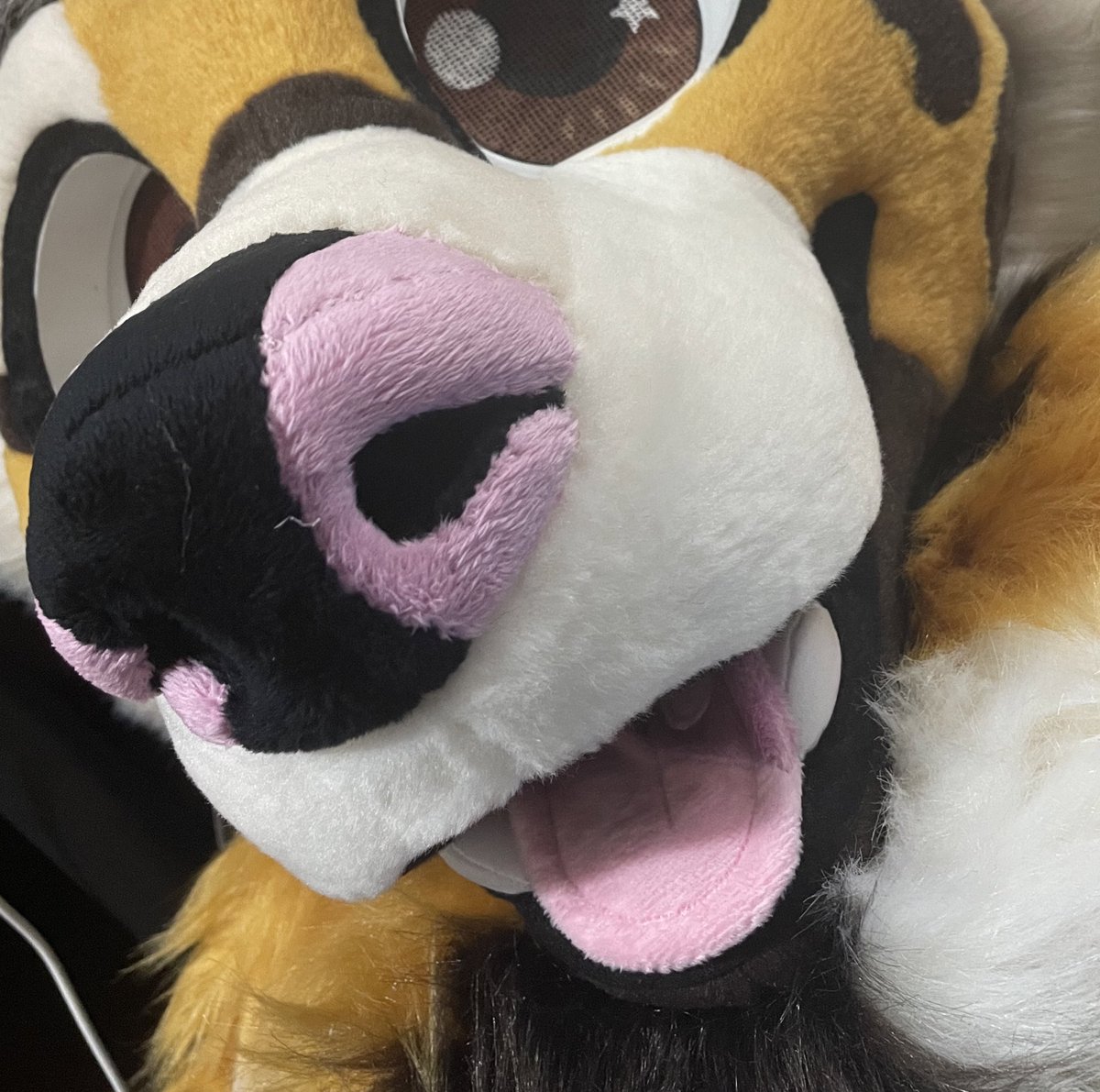 Some noses that we're proud we made last year 😎