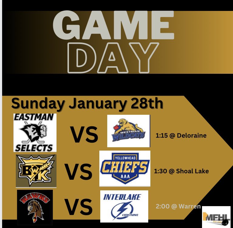 Manitoba Female Hockey League - U15 AAA tweet media