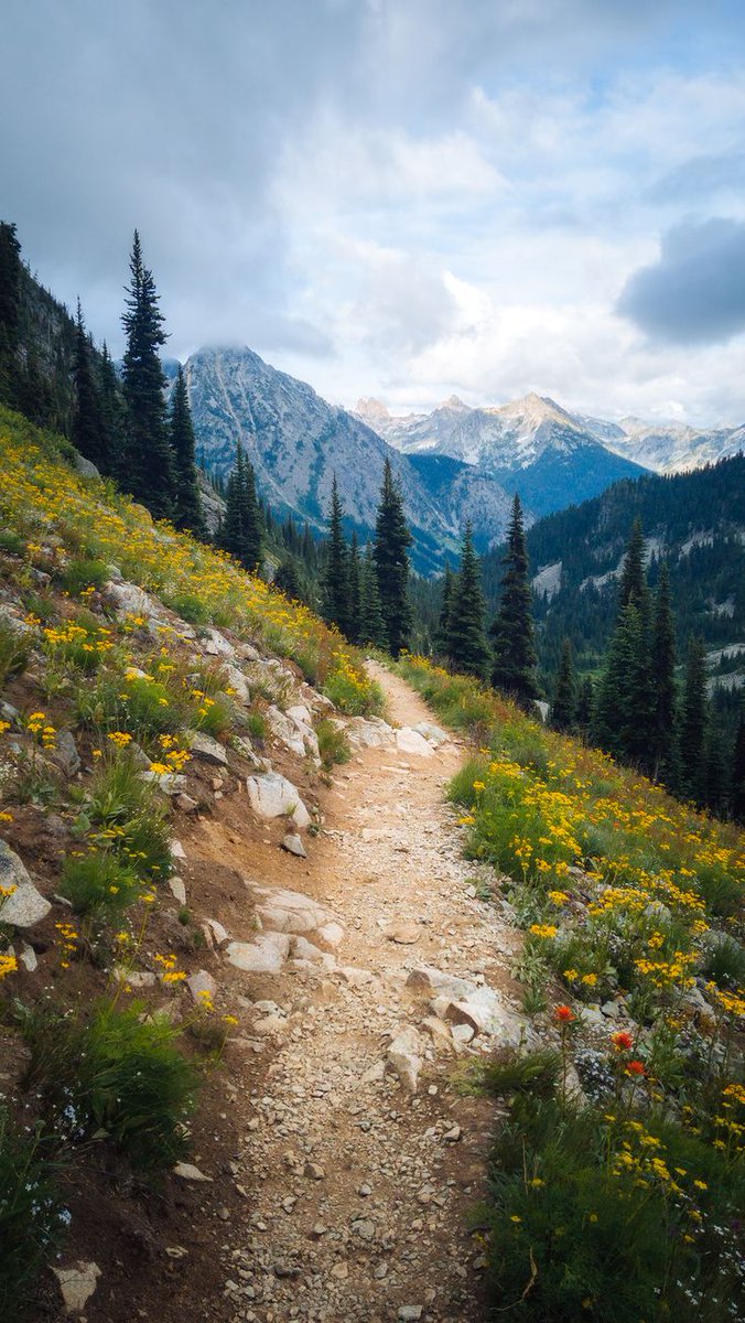 Hikes in washington state 
#Art, #TravelPhoto, #Buildings, #Architecture