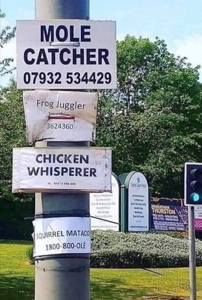 What in tarnation? I am morbidly curious.