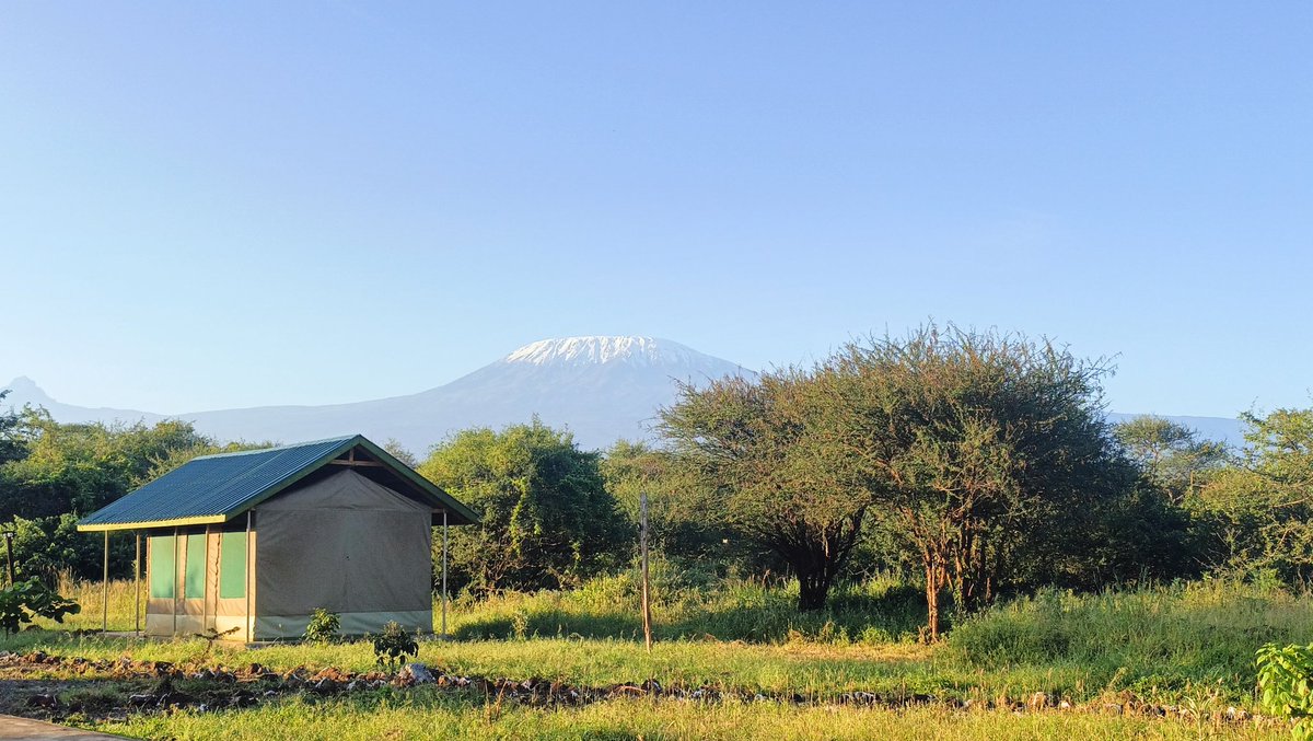 Kilimanjaro is a snow-covered mountain 19,710 feet high, and is said to be the highest mountain in Africa. Its western summit is called the Masai 'Ngaje Ngai', the House of God. #DiscoverKenyanParks #TheAmboseli @ChdKenya #Kilimanjaro #Tanzania #Kenya #OldonyoMusaCamp