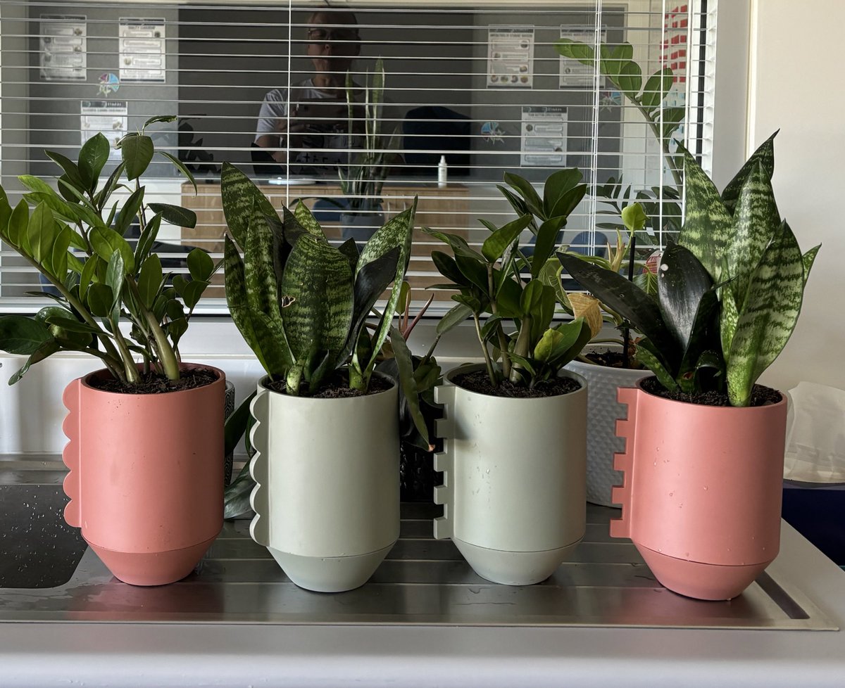 ✨Rachael Lehr✨ tweet media