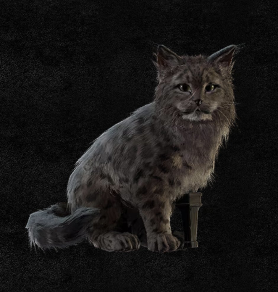 crispytaytortot's tweet image. The @skullnbonesgame beta is quickly approaching on February 8 to 11. I'll be streaming every day with drops enabled! Watch for 1 hour to earn the Snow Leopard kitty ship pet!

#SkullAndBones #LongLivePiracy #Cats