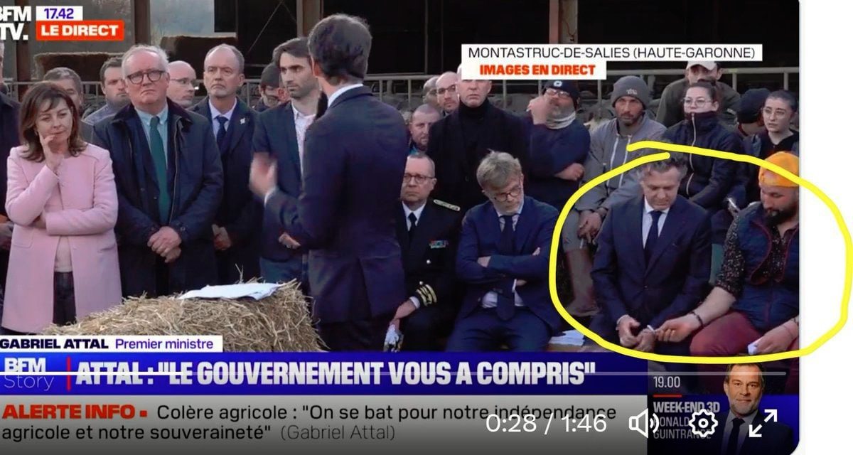 Elohim (@esperandsa) on Twitter photo 