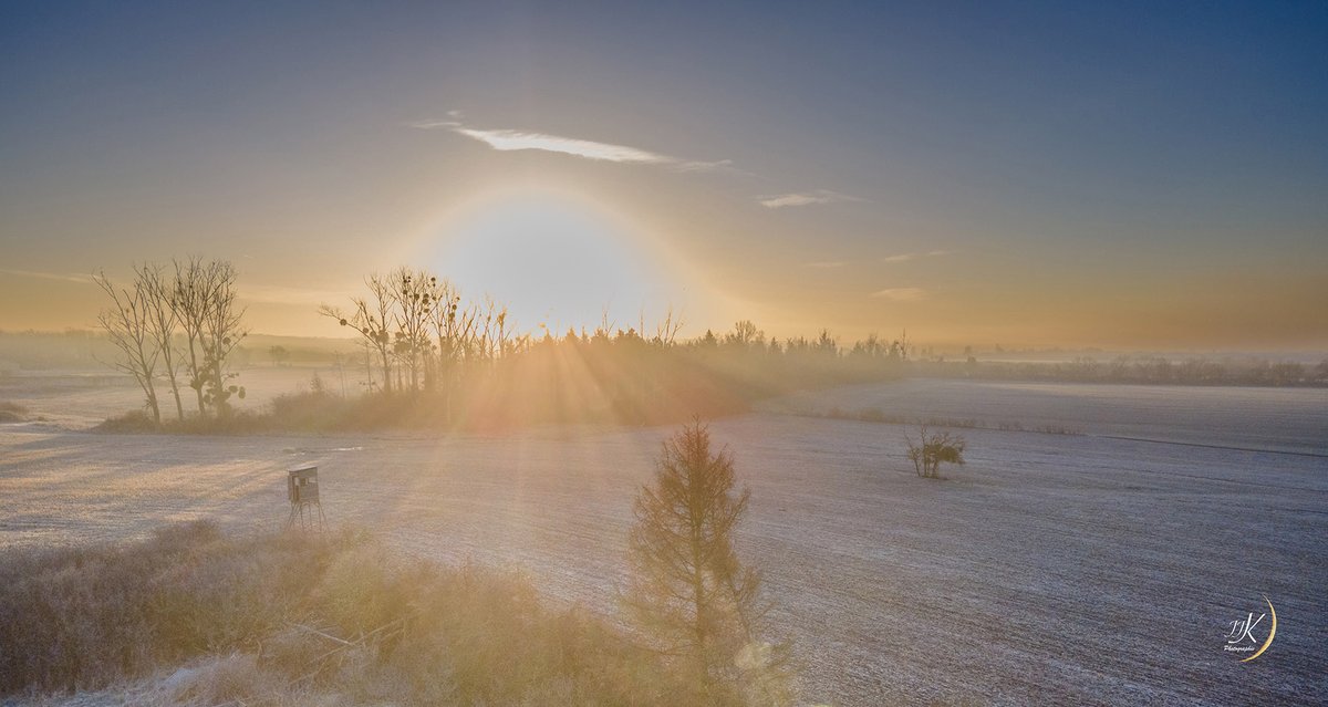 Ce matin après une nuit de lune, et une température n'ayant pas dépassé les dessus de -2° de nombreux banc de #brouillard s'étaient installé dans la vallée de la #Moselle.