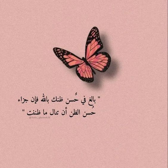 واحسن الظن بالله تجد حلمك اصبح بين يدك لان الله يحب عباده الذين يحسنون الظن به 🫶🥹
#كلوب #زد_رصيدك49 #الصين #لروسيا #ابو_عبيدة #سلمان_العودة