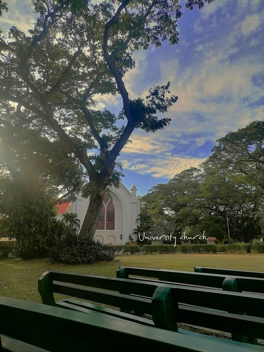adenocein's tweet photo. ⛅🌳

— #lifetwt #archivetwt https://t.co/JMqveXXF7h