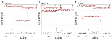 SdelciL's tweet photo. By re-analyzing the publicly available #HRAS WT vs. G12D interactomes, we specifically identify the positive control LVVVGAGGVGK peptidoforms in its mutated and WT state among the most significant hits of our analysis. https://t.co/E30nGgppBM