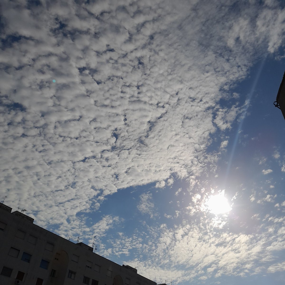 La memoria assomiglia essenzialmente a una biblioteca dove regna il disordine alfabetico e dove non esiste l’opera completa di nessuno...

I. A. Brodskij
#LEdificioDellaMemoria
#SalaLettura 

Buongiorno, ora ☀️