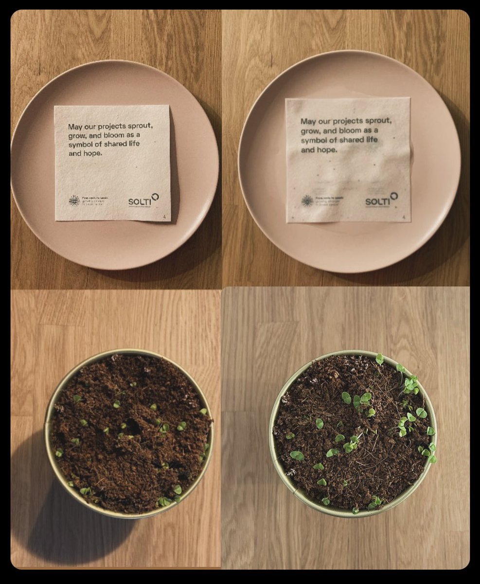 Juanmi Cejalvo (@cejalvom) on Twitter photo May our projects sprout, grow, and bloom as a symbol of shared life hope 🌿🧬 <a href="/_SOLTI/">SOLTI #cancerresearch</a> #BeSOLTI May our projects sprout, grow, and bloom as a symbol of shared life hope 🌿🧬 <a href="/_SOLTI/">SOLTI #cancerresearch</a> #BeSOLTI