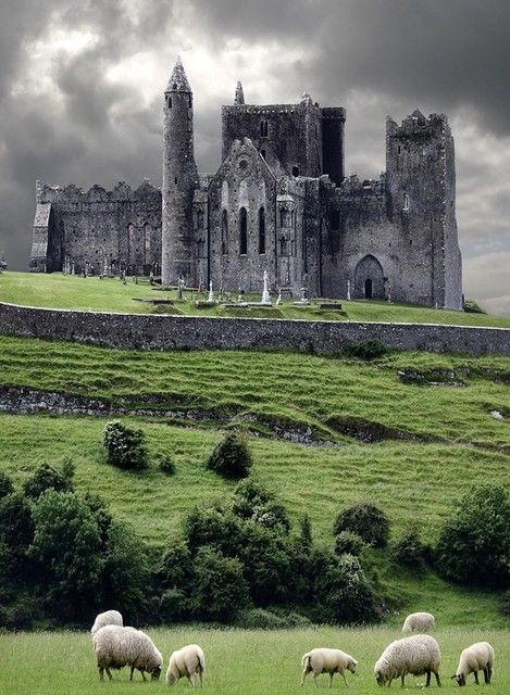 Where history whispers and stones echo tales of time. Exploring the mystical allure of the Rock of Cashel in Ireland. 🍀 #TimelessTales #RockOfCashel #IrishAdventure